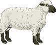 masonic lamb
